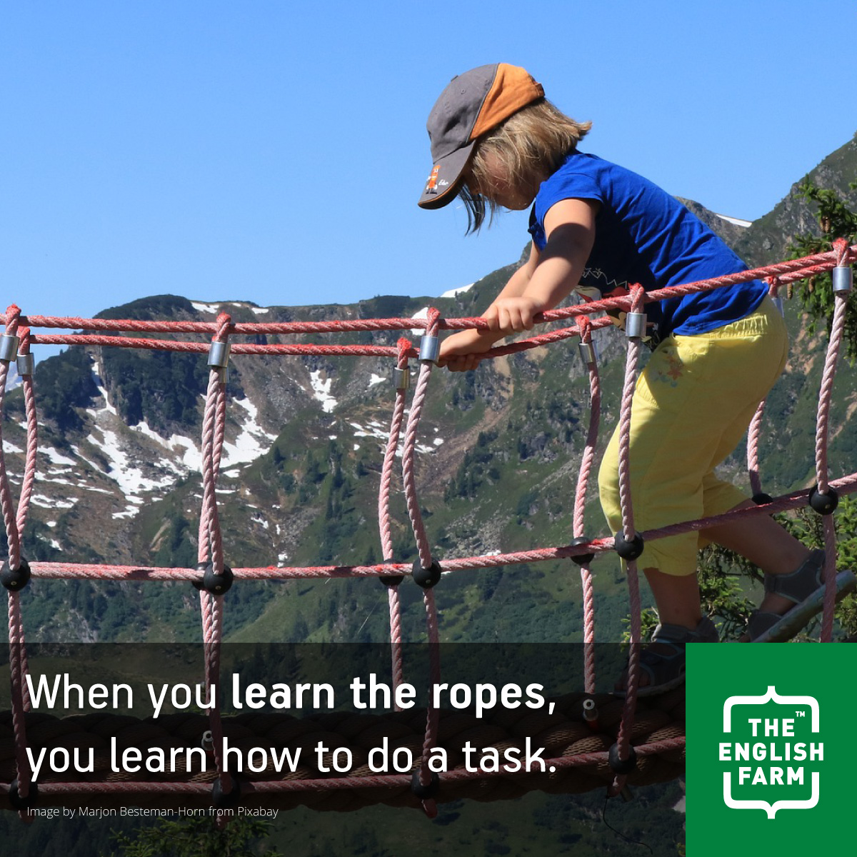 Learn The Ropes | The English Farm