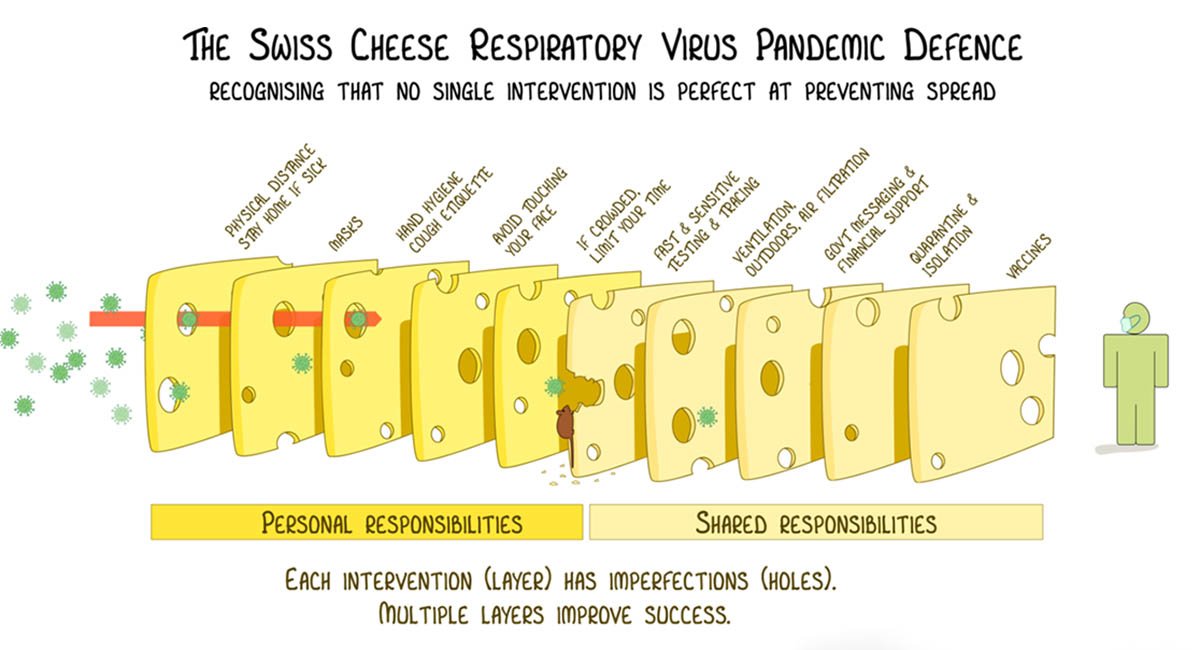 The Swiss Cheese model of defense The English Farm